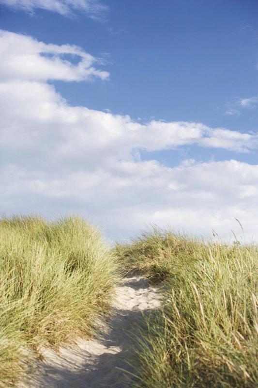 Villa Strand Hornbæk Buitenkant foto